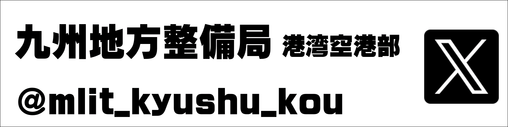 公式X