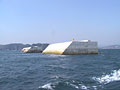 hososhima02b_thumb.jpg