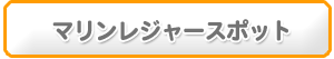 }W[X|bg
